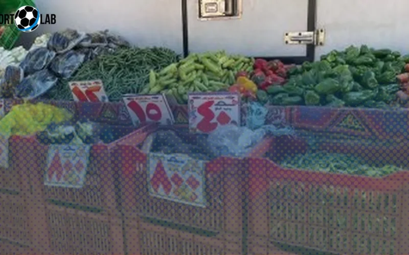 تحديث أسعار الخضراوات في أسواق الأقصر الإثنين 17 نوفمبر 2025